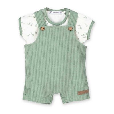 Conjunto pelitre verde bebé 1-36 meses