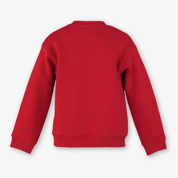 Sudadera de niño rojo empolvado 3813041 Miranda Textil