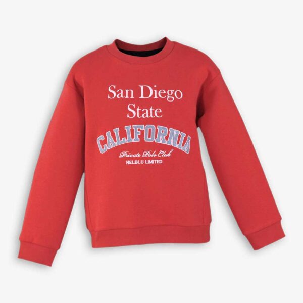 Sudadera de niño rojo empolvado 3813041 Miranda Textil