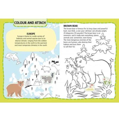 Libro Animales Mis actividades Artísticas Manolito Books