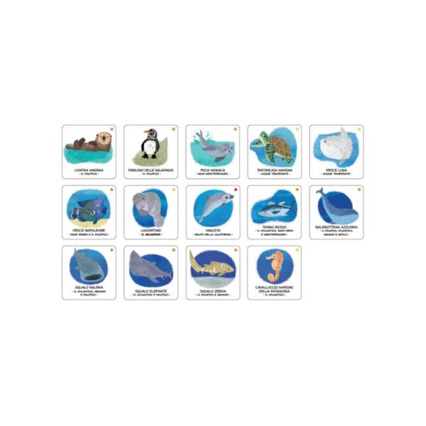 Libro Animales por salvar mares y océanos Manolito Books