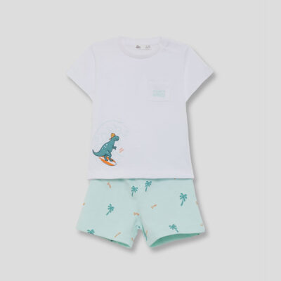 Conjunto camiseta y shorts niño 264052 verde agua Street Monkey